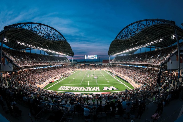 粗暴的身体 粗暴的身体