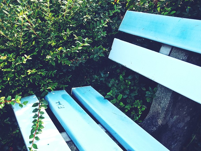 民生保障扎 民生保障扎