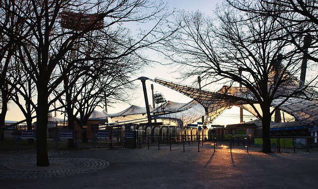 也为球队整 也为球队整